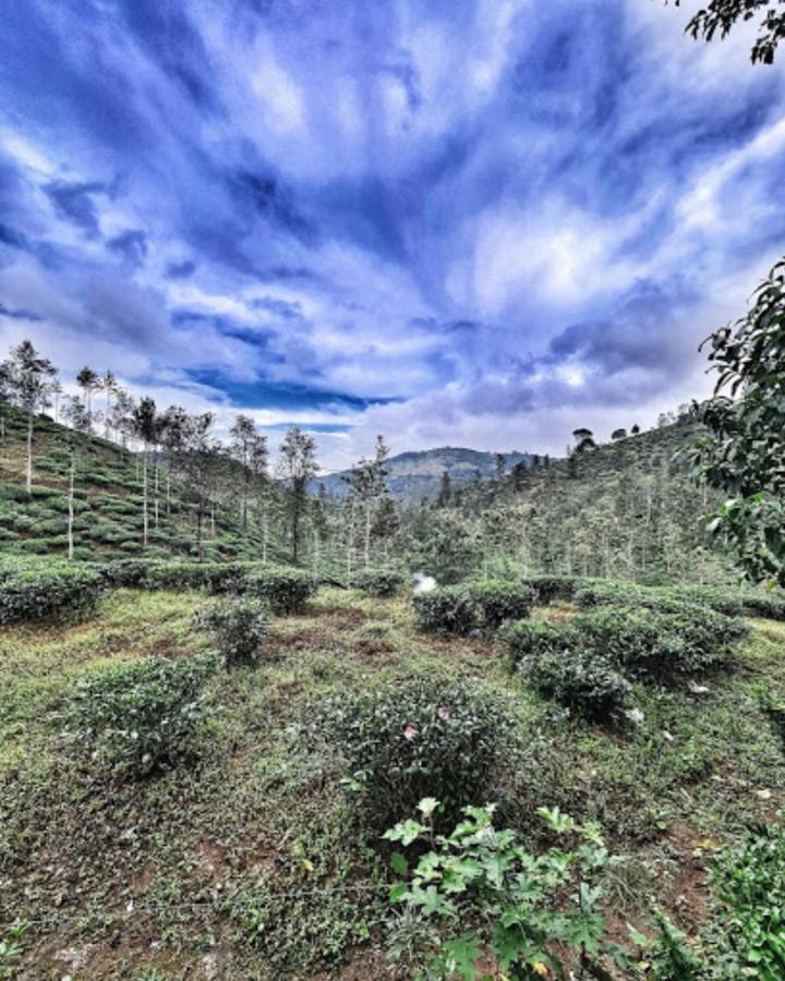 Apartamento Noah'S Nest Tree House Thekkady Exterior foto