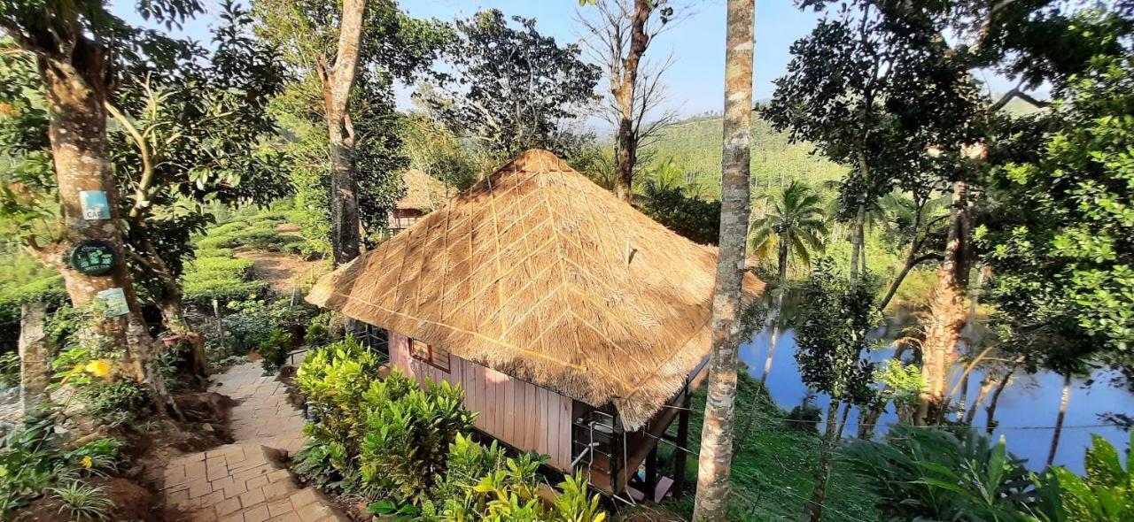 Apartamento Noah'S Nest Tree House Thekkady Exterior foto