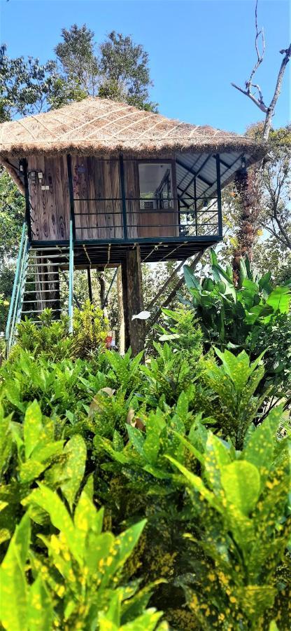 Apartamento Noah'S Nest Tree House Thekkady Exterior foto