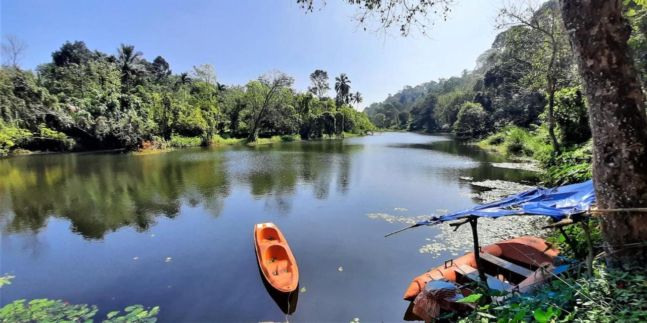 Apartamento Noah'S Nest Tree House Thekkady Exterior foto