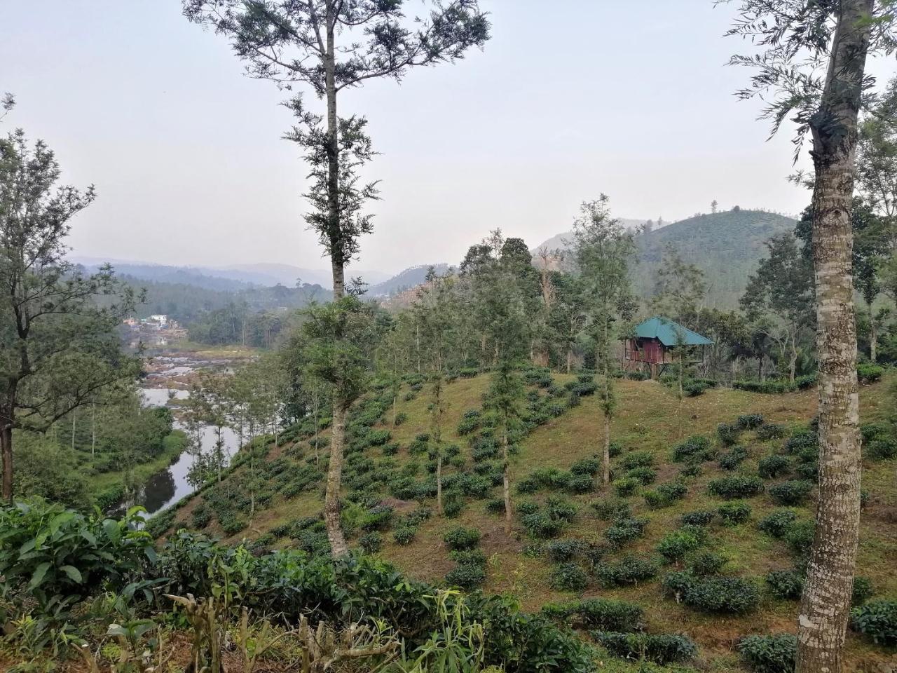 Apartamento Noah'S Nest Tree House Thekkady Exterior foto