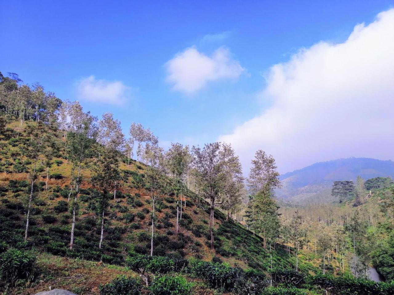 Apartamento Noah'S Nest Tree House Thekkady Exterior foto