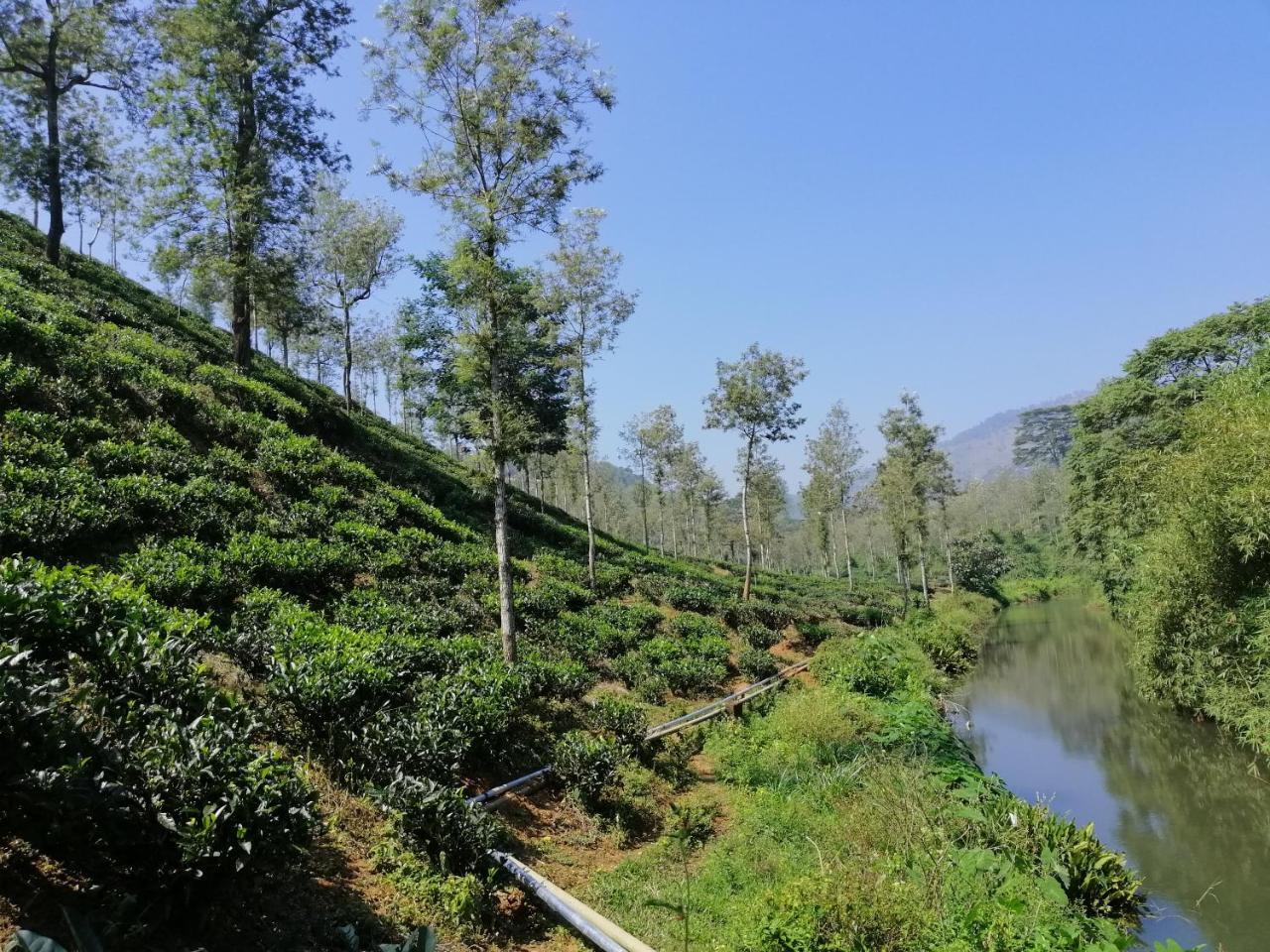 Apartamento Noah'S Nest Tree House Thekkady Exterior foto